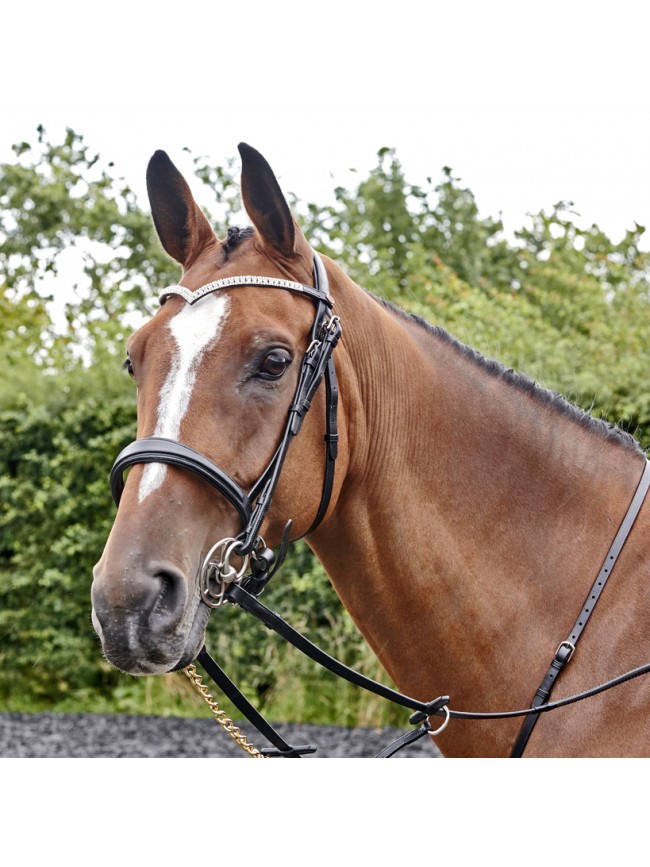 BR072 - Lynton Snaffle Bridle with 2 browbands